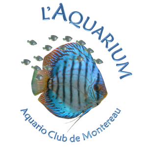 aquarioclub-de-montereau