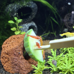 Publication de StephL