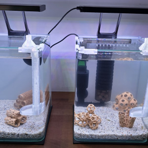 Publication de boubou59