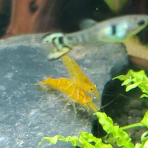 Publication de Mariekiwi