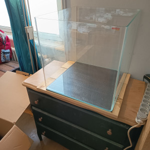 Publication de Louen