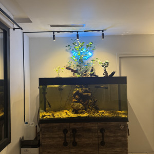 Publication de Mathieuvivien