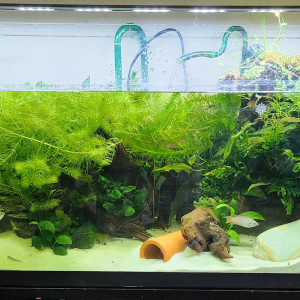 120 Litres