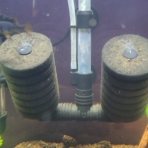 Publication de Tedd80