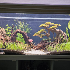 Publication de NoemieMarseille