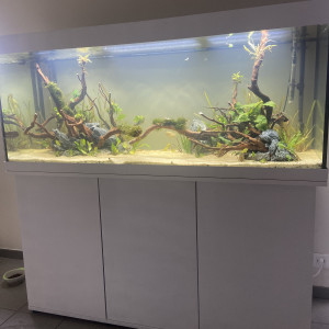 Publication de tonybzh