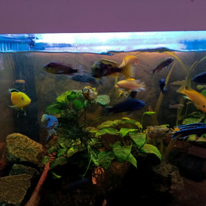 Publication de Marcodesjardo