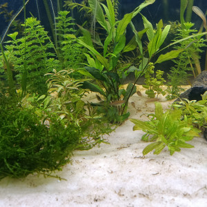 Publication de Marcodesjardo