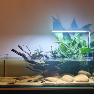 Publication de JulienTt