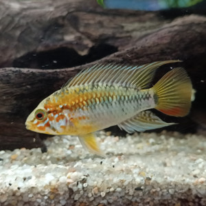 Publication de Herve92