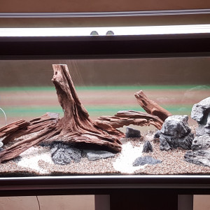 Publication de Afra17