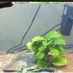 Publication de Christelle14