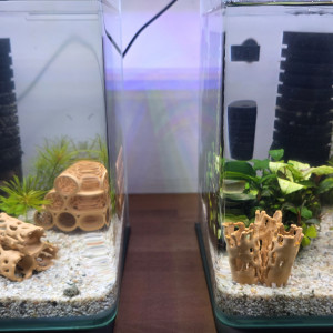 Publication de boubou59