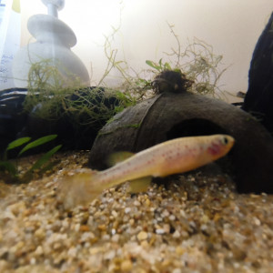 Publication de Killi26