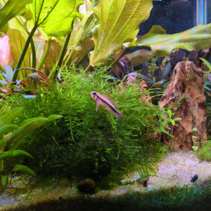 Publication de Stephane06580