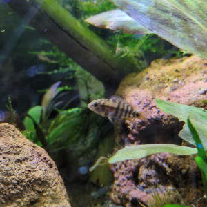 Publication de Stephane06580