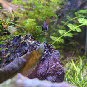 Publication de Stephane06580