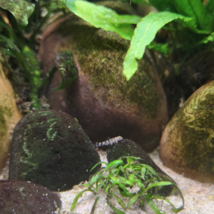 Publication de JulienTt