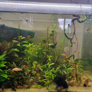 Publication de Margaret83