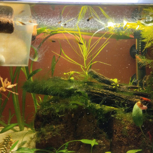 Publication de lolo95