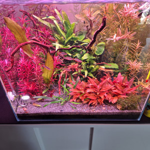 Publication de AquaduSud