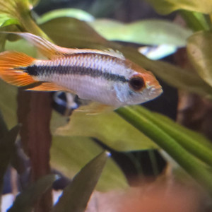 Publication de Stephane06580