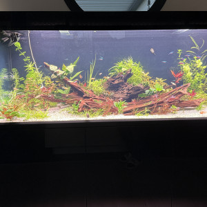 AQUAEL glossy 150
