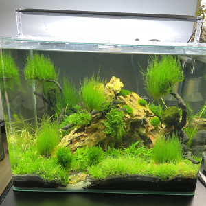 Publication de Sally57