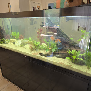 Aquarium 800 l