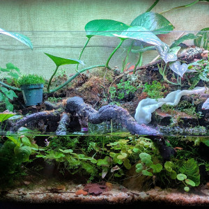 Publication de ArtemusKlegg