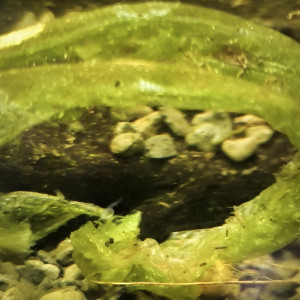 Publication de Guigui-tkt