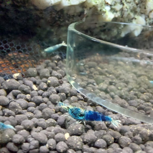 Publication de aqua1230