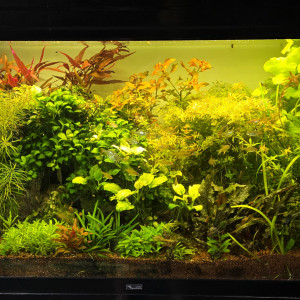 Publication de boubou59