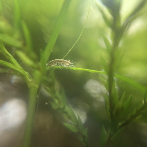 Publication de fabioushka