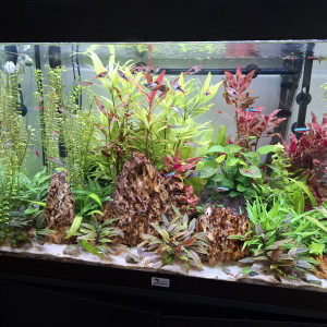 Publication de Guiguidu57