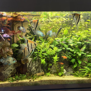 Publication de Alex69