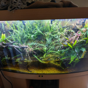 Publication de shanganagh-takhisis