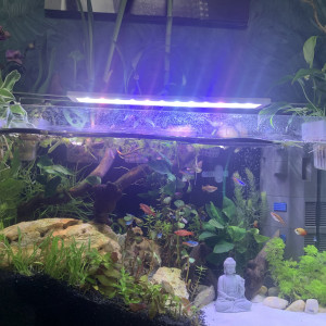 Publication de MadhushiChathurikaPerera