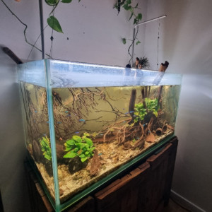 Publication de Brap123