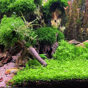 Publication de Yannick66