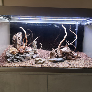 Publication de mactouch