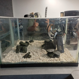 Aquarium miroir 20l avec pompe et gravier blanc