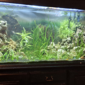 Publication de Nico60