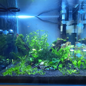 90L