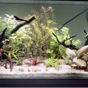 Publication de Graffitti