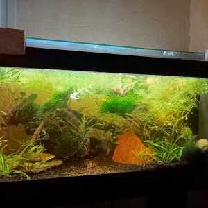 Publication de littleoph