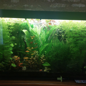 Publication de AQUA36120