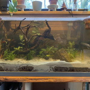 Aquarium