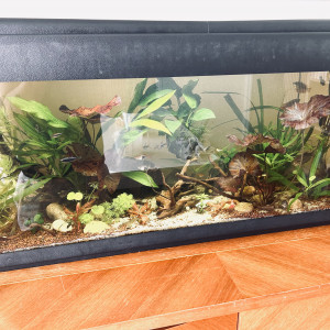 Publication de Chachou1423