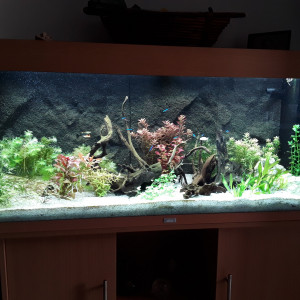 Publication de Ami112